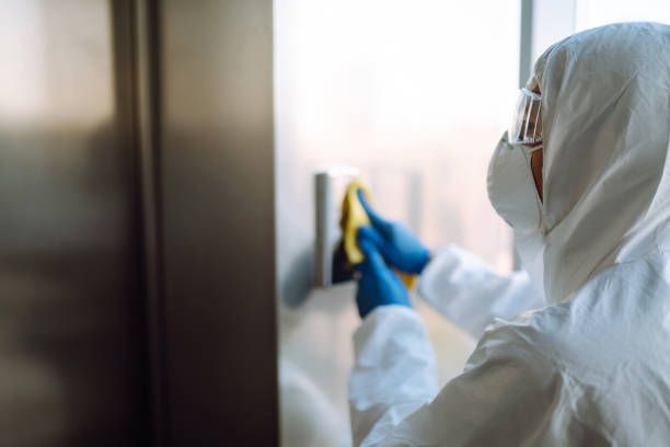 Reliable Wadesboro, NC Mold Removal Solutions